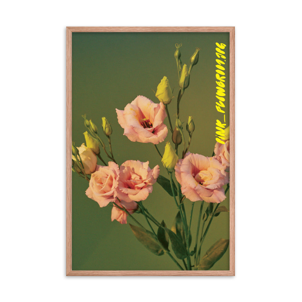 Pink_Flower001.jpg - Drool Lab