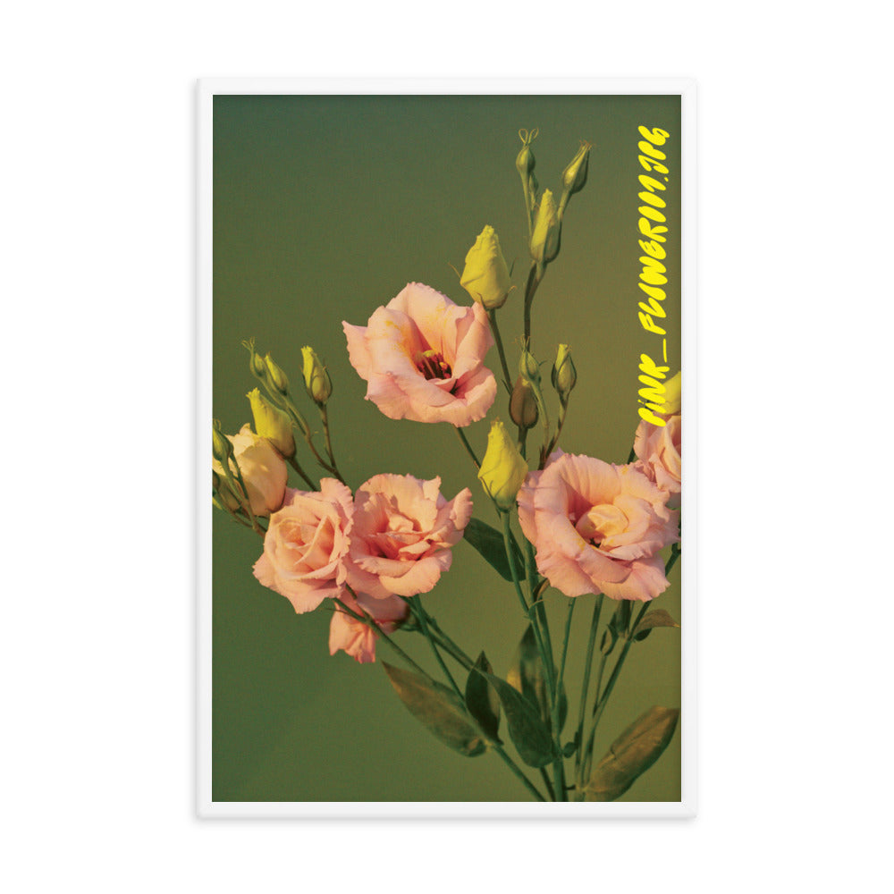 Pink_Flower001.jpg - Drool Lab